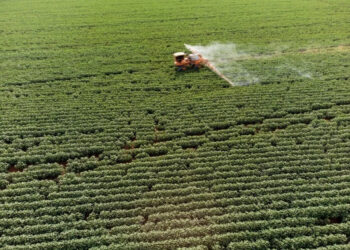 Greenpeace davayı kazandı: Tarım ve Orman Bakanlığı, 247 bin pestisit denetiminin sonuçlarını açıklamak zorunda