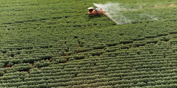Greenpeace davayı kazandı: Tarım ve Orman Bakanlığı, 247 bin pestisit denetiminin sonuçlarını açıklamak zorunda