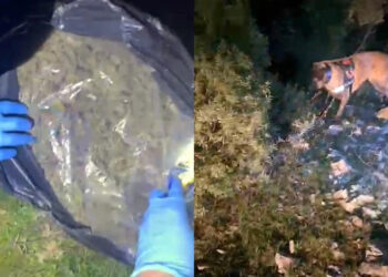 Muğla’da otobüs ile minibüs çarpıştı: 2 yaralı