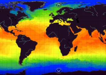 Akdeniz’de sıcaklık zirve yaptı, Akdeniz resmen fokurduyor, tehlike sinyalleri veriyor