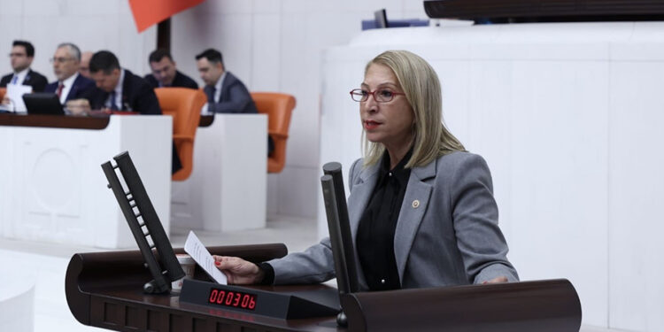 CHP’li Öneş Derici: “Kurumlar Siyasileştiğinde Devletin Güvenliği Riske Girer”