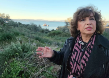 TOKİ’nin Bodrum’da parsel parsel arsa satışına sert tepki