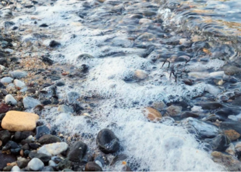 Torba’da mavi bayraklı koy cehenneme döndü deniz köpürdü