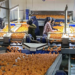 Mandalina ihracatı tarih yazıyor …  Mandalina ihracatı 615 milyon dolarla rekor kırdı