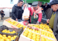 Bodrum Mandalina festivalinden ilçedeki işletmelere şok uyarı “Menüsünde mandalin ürünü bulundurmayan işletme ilçeyi terk etsin”