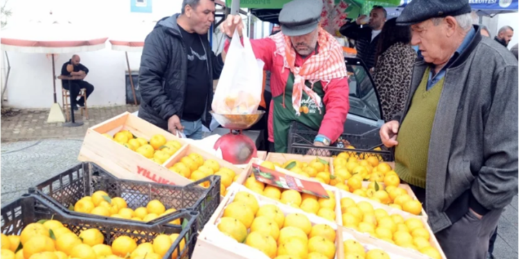 Bodrum Mandalina festivalinden ilçedeki işletmelere şok uyarı “Menüsünde mandalin ürünü bulundurmayan işletme ilçeyi terk etsin”
