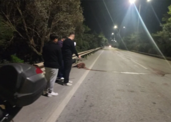Torba yolunda domuz kabusu: 3 araçta hasar