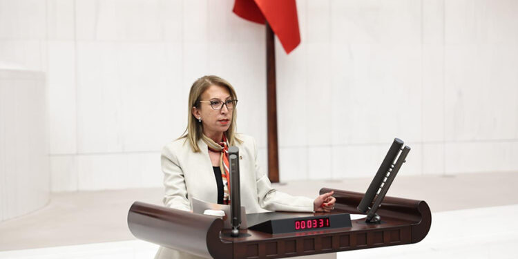 CHP’li Öneş Derici Çevre Şehircilik Ve İklim Değişikliği Bakanlığı’na Kille Koyu’nun Hesabını Sordu