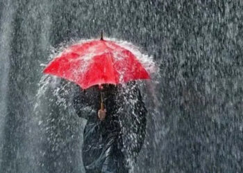 Bir ton sahte- kaçak içki ele geçirildi