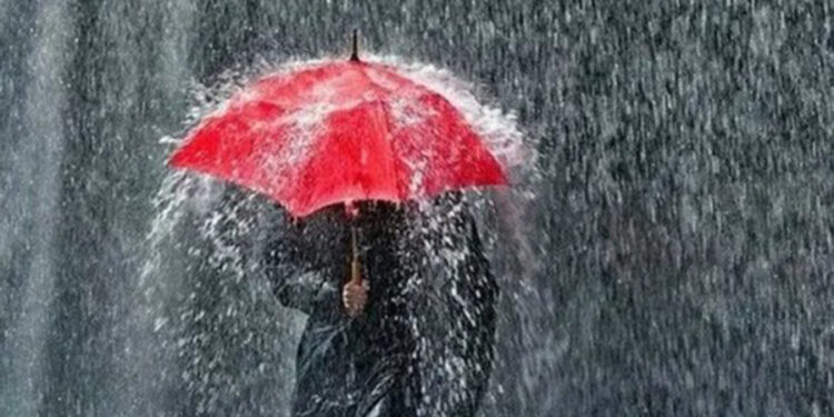 Bir ton sahte- kaçak içki ele geçirildi