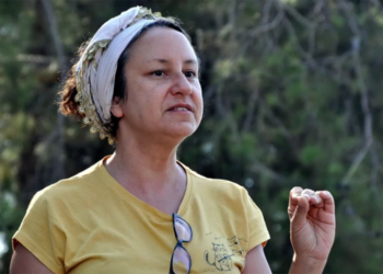 Akbelen ormanlarını koruyan çevre mühendisi aktiviste 5 ay hapis cezası verildi