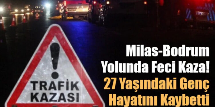 Dizi Yıldızıydı, Muğla’da Zeytinyağı İşine Girdi