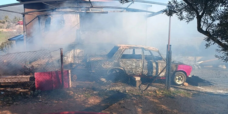 Dizi Yıldızıydı, Muğla’da Zeytinyağı İşine Girdi