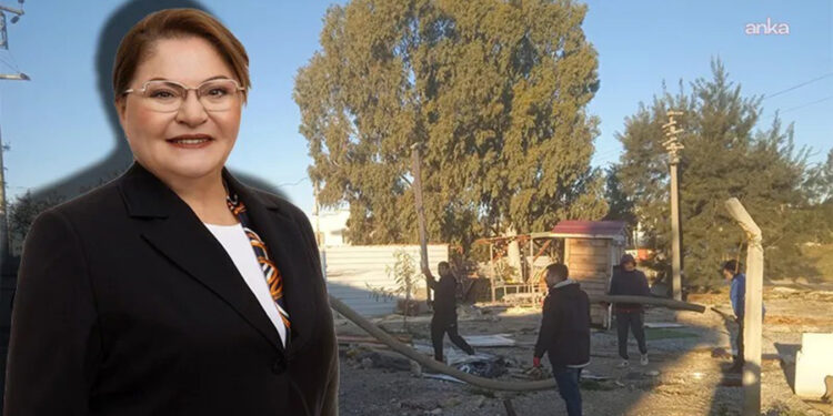 Didim Belediye Başkanı Hatice Gençay’a Makamında Saldırı