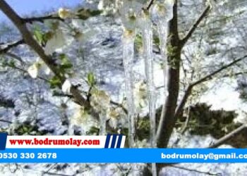 Muğla için kritik uyarı