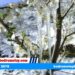 Muğla için kritik uyarı