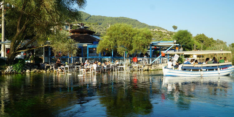 Muğla Büyükşehir Belediyesi’nden 81 İle 22 Milyon Yerel Tohum