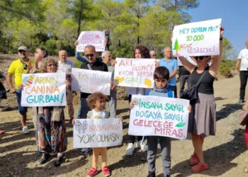 Muğla’nın cennet ormanları madene böyle kurban ediliyor