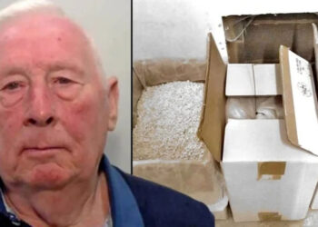 Ahmet Aras’tan İlginç Kürtçe Çıkışı: “Her Şey Türkçe, Yasalar Türkçe…”