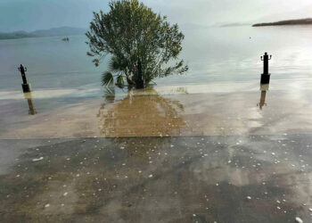 Ahmet Aras’tan İlginç Kürtçe Çıkışı: “Her Şey Türkçe, Yasalar Türkçe…”