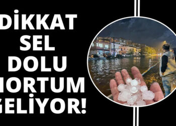 Ahmet Aras’tan İlginç Kürtçe Çıkışı: “Her Şey Türkçe, Yasalar Türkçe…”