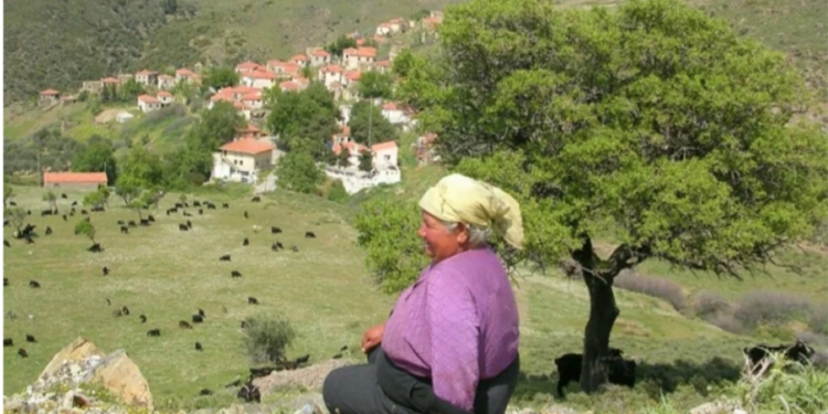 ÇED Olumu kararı verilen projenin zararları bilirkişi raporu ile ortaya çıktı