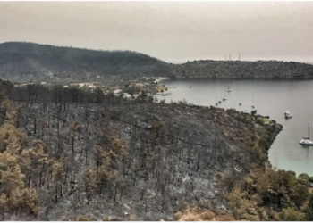 Muğla’da orman arazileri arsa oldu, sınırlar değişti