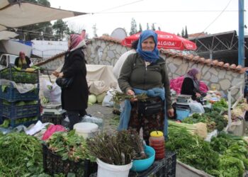 Fiyatı Cep Yakıyor