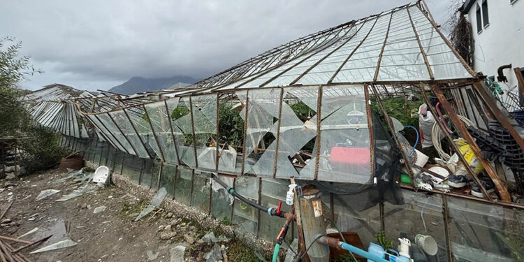 CHP Muğla Milletvekili Gizem Özcan’dan Seydikemer çağrısı