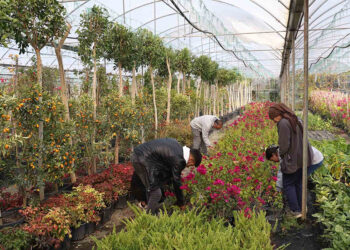 Marmaris Belediye Başkanı Acar Ünlü Davasında Karar Çıktı