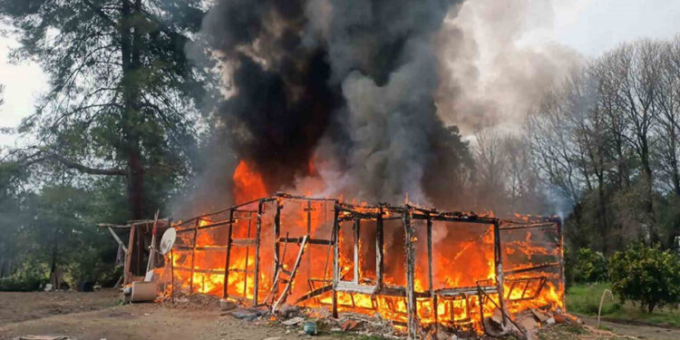 Müzisyenler Pınar Seli ve Ege İyilik için hem mutfakta hem sahnede