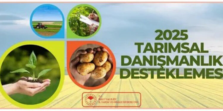 Müzisyenler Pınar Seli ve Ege İyilik için hem mutfakta hem sahnede