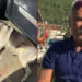 Bodrum’da Köpek Katliamında Flaş Gelişme: Serbest Bırakılan İşletmeci Tutuklandı!
