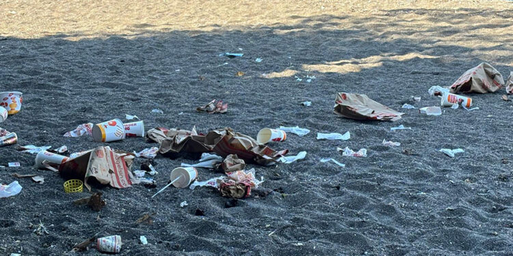 Osman Arkangil, yazdı: PİSLİĞİN KAYNAĞI MAGANDA