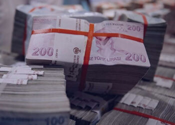 Muğla Mevduatta Devler Liginde