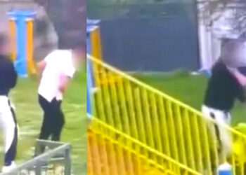 Bodrum’daki Kan Donduran Görüntülere Kaymakamlıktan Açıklama