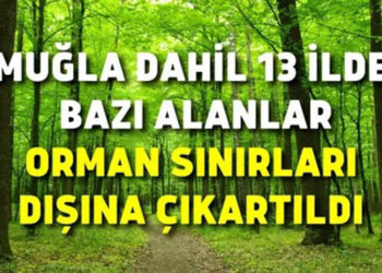 Muğla’da Orman Sınırları Değişti