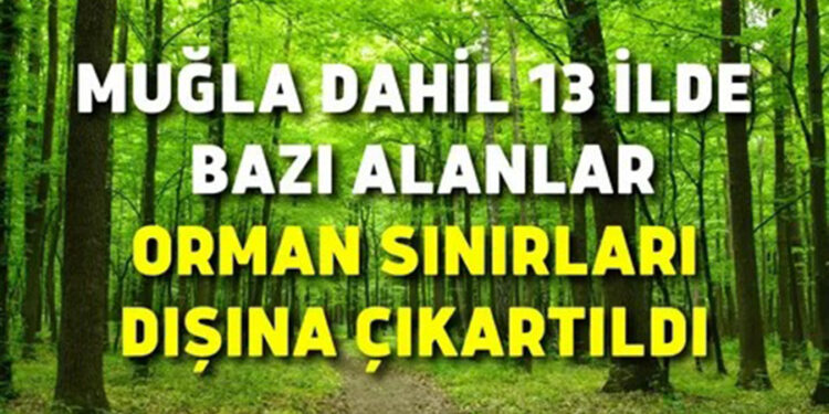 Muğla’da Orman Sınırları Değişti