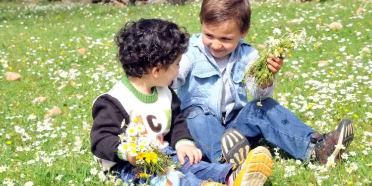 Cemre havaya düştü Bodrum’da kırlar coştu