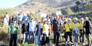 Bodrum’da Doğa Alarmı: “Betonlaşma Tehlikesi Büyüyor”