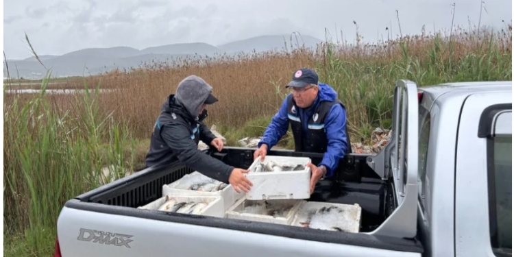 Güllük Lagünü’nde kaçak kefal avcılarına baskın