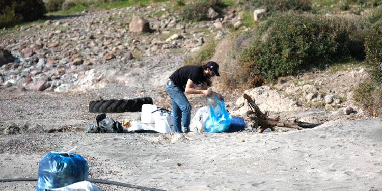 Tilkişen toplamaya gittiler, koyu temizlediler