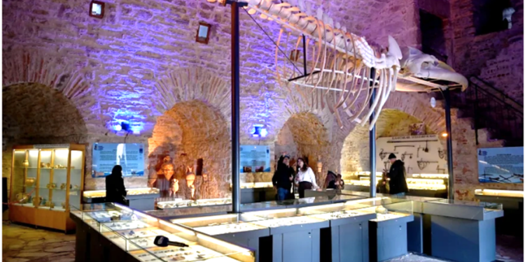 Turistik ilçedeki deniz ticaret tarihine büyük ilgi