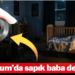 Bodrum’da mide bulandıran olay