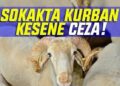 Kurbanı Sokakta Kesene Ceza Yağacak!