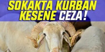 Kurbanı Sokakta Kesene Ceza Yağacak!