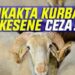 Kurbanı Sokakta Kesene Ceza Yağacak!