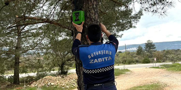Doğa düşmanlarının gözü döndü, fotokapana rağmen ormanı çöplük yaptılar