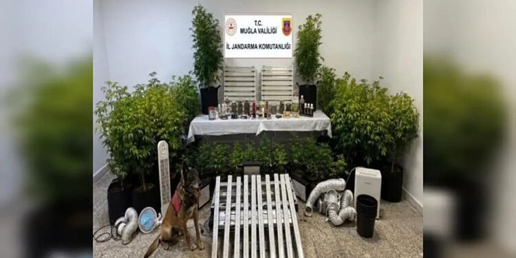 Bodrumlu Mehmet Yavuz Vural İstanbul’da Yol Koşusunda Kürsüye Çıktı