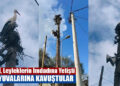 YENİ YUVALARINA KAVUŞTULAR